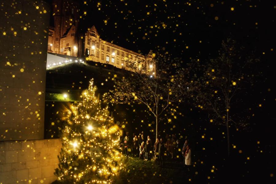 Sparkling Christmas Tree outside Pontio & Main Arts Building