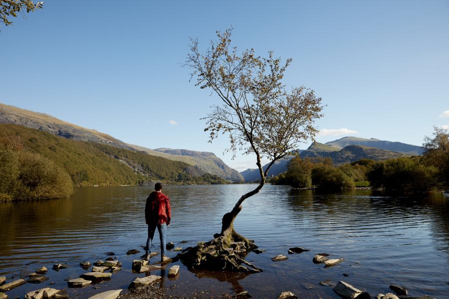 Myfyriwr yn edrych allan dros Lyn Padarn yn Llanberis