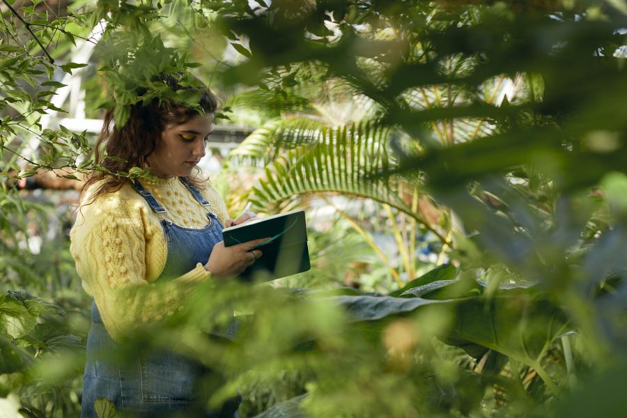 A student wearing a yellow jumper writing in a notebook, surrounded by plants in a greenhouse at Treborth Botanic Garden.