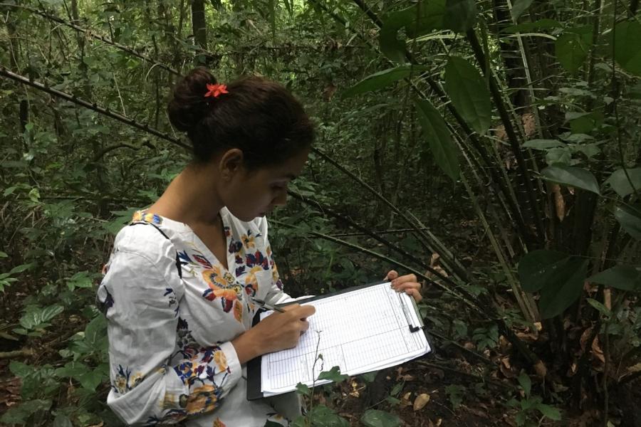 This group were investigating the effects of different silvicultural treatments on forest stand structure and carbon stocks. © James Walmsley