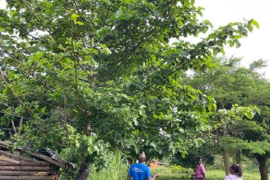 a group of people gathered around a tree discussing