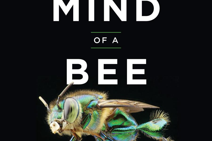 The Mind of a bee book cover