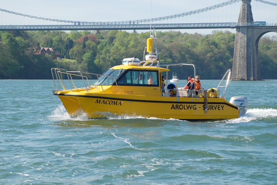 Bright yellow research boat with the Menai Suspension bridge behind