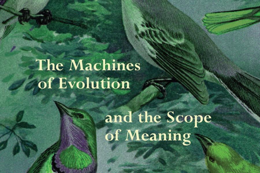 The machines of evolution and the scope of meaning book