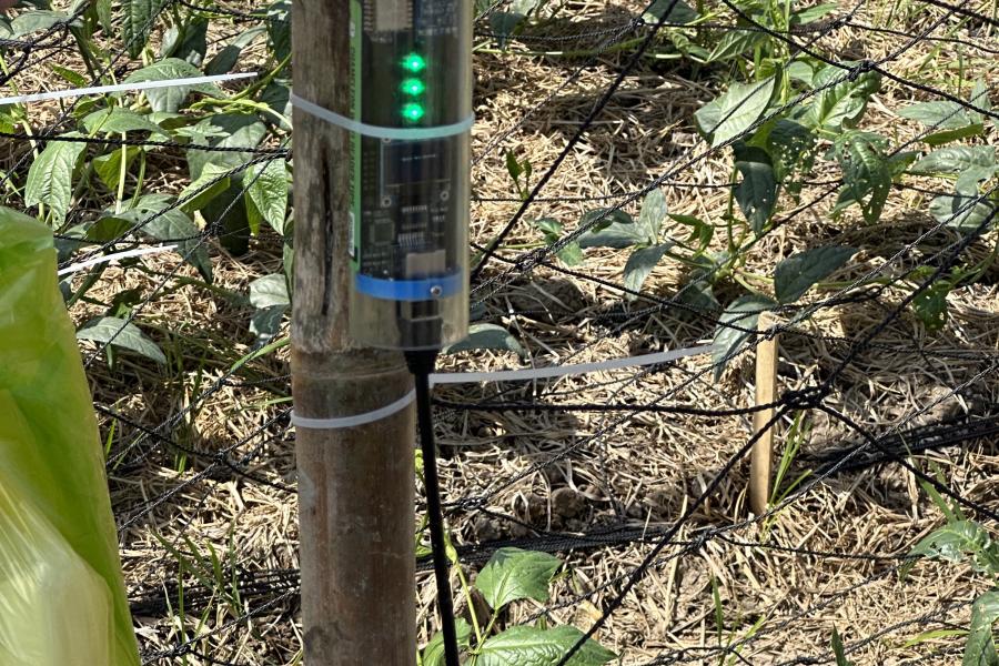 Present generation of soil sensor