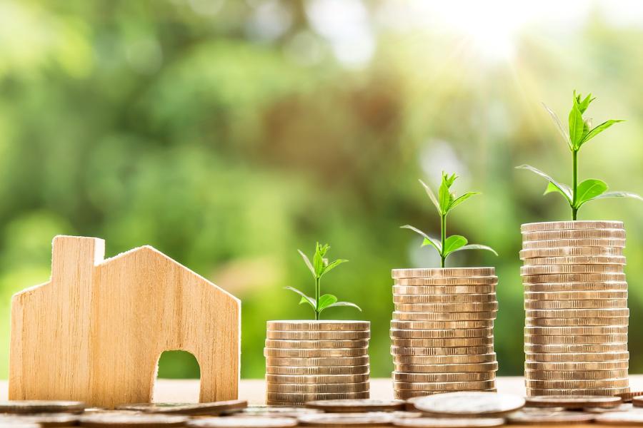 Small wooden house with piles of coins with plants growing out of them