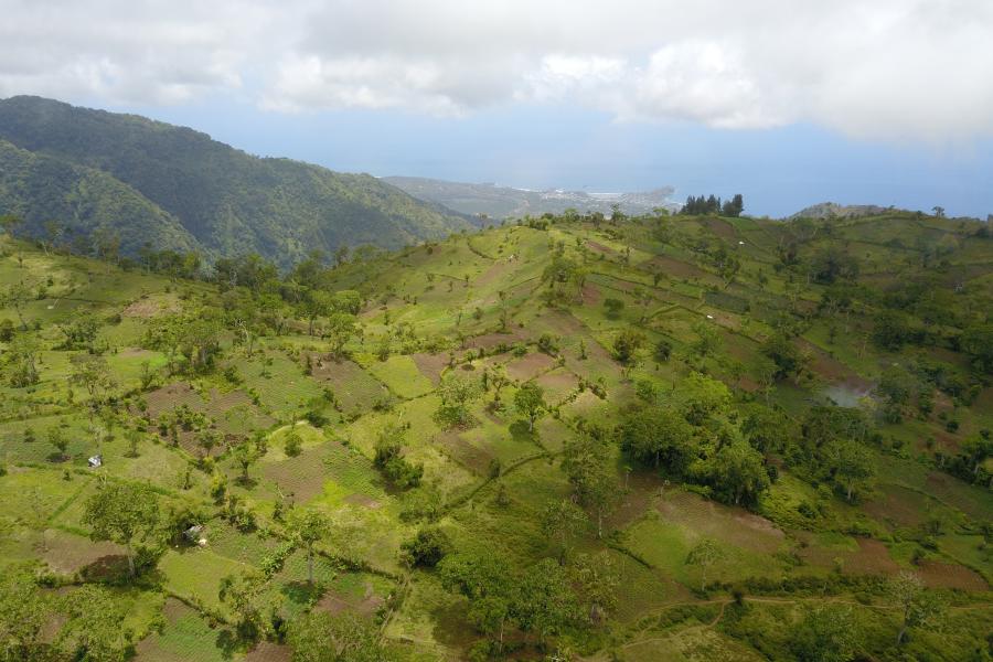 Deforested agricultural landscape in the highlands of Anjouan