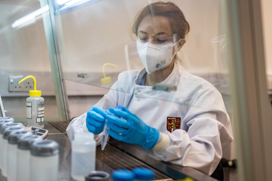 Person testing samples in a lab