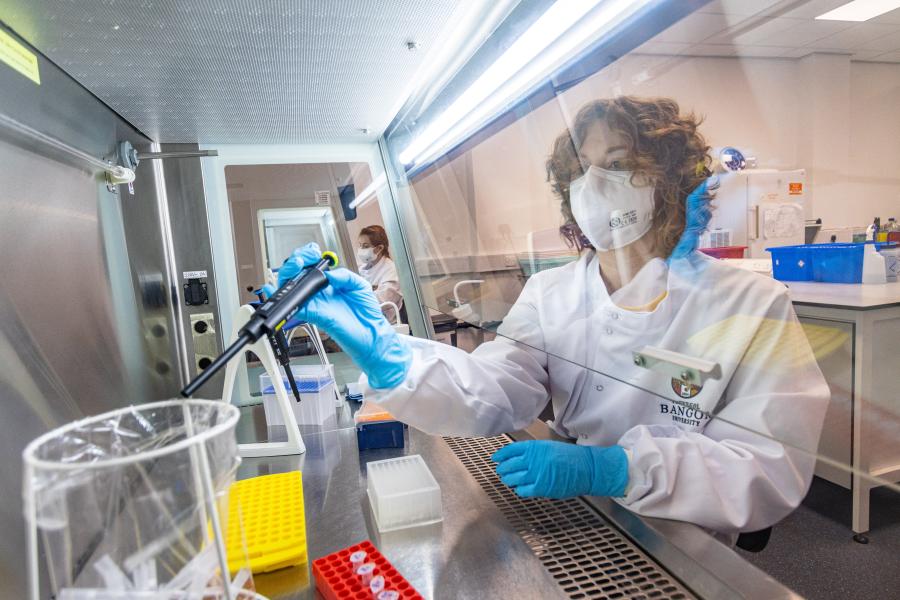 Person testing samples in a lab