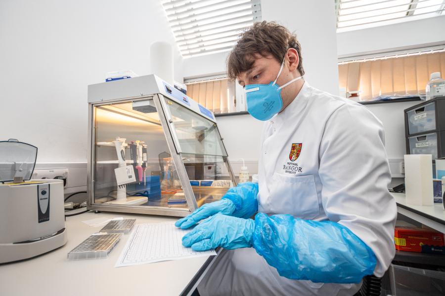 person testing samples in a lab