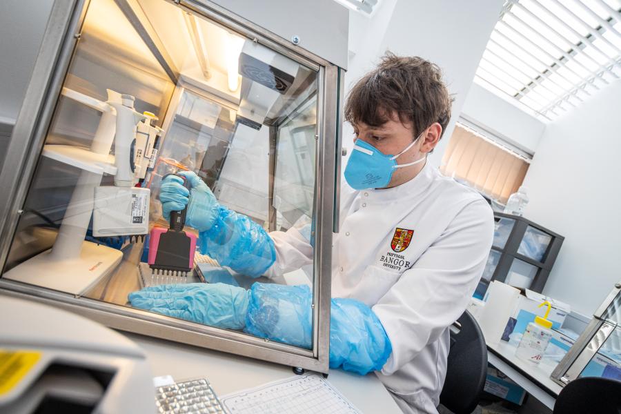 Person testing samples in a lab