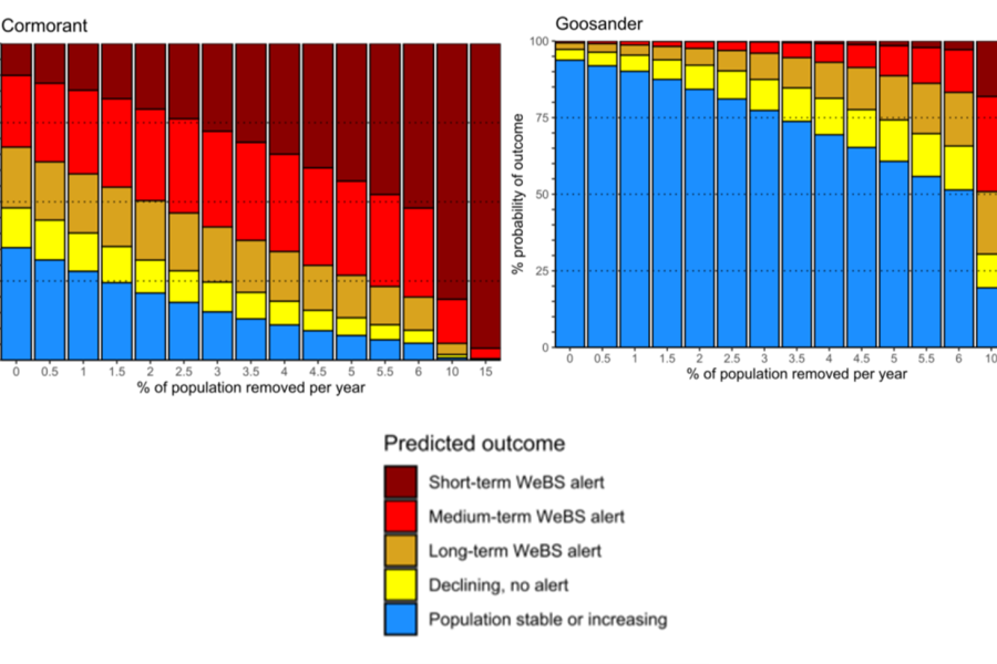 research results graphs