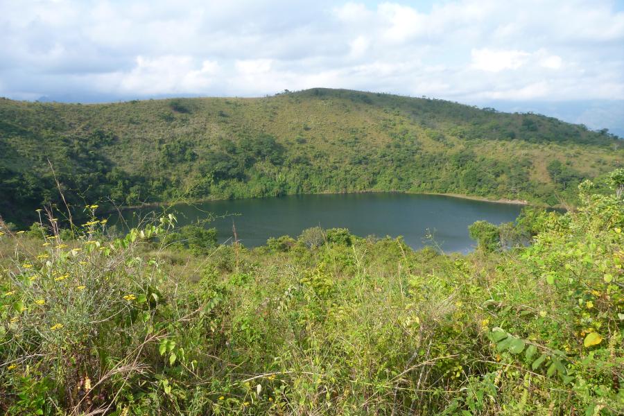 Lake surrounded by greenery