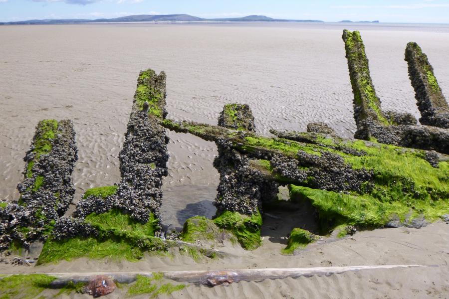 Barque on sandy beach 