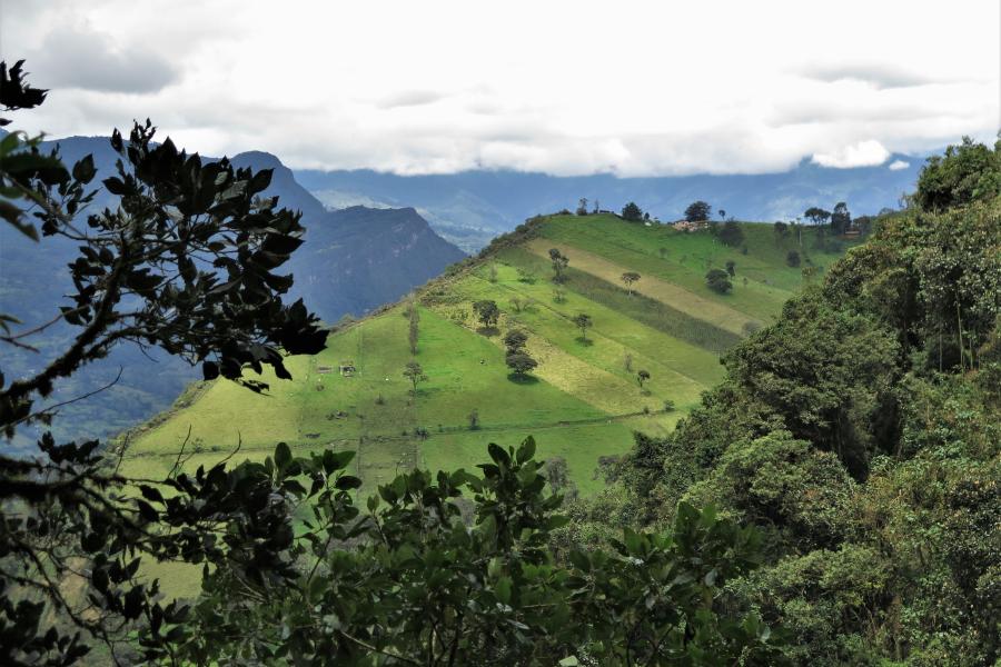 Green scene mountains and forest