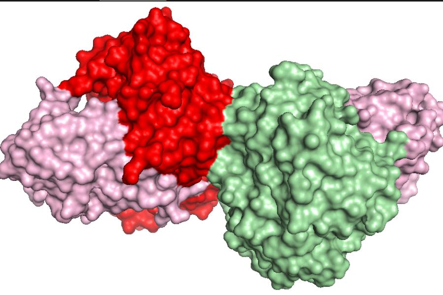 computer generated image on an enzyme