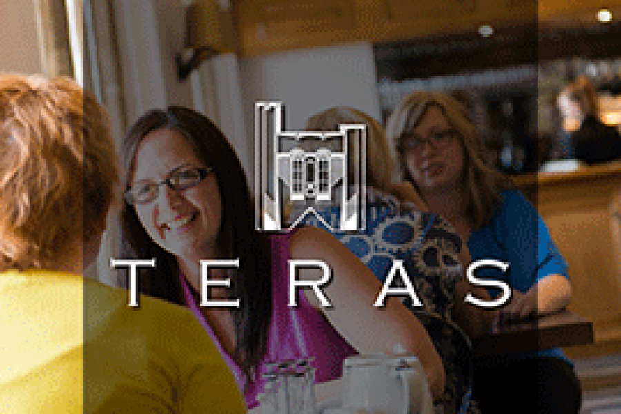 Teras logo 