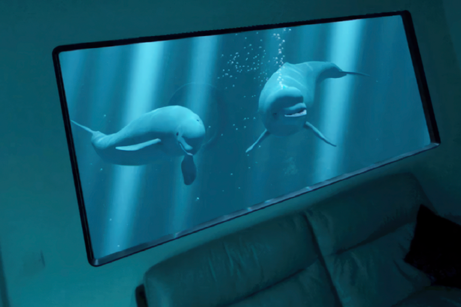 A virtual window in a living room with Beluga whales swimming by