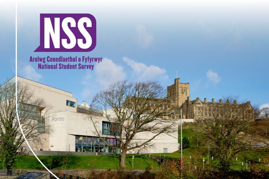 NSs Image