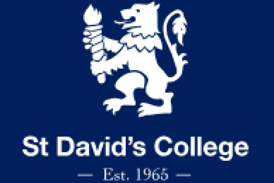 St Davids college