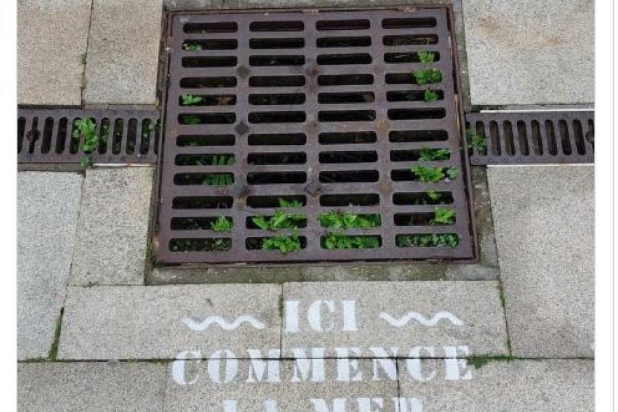 A grille on a pavement with some graffiti as per text