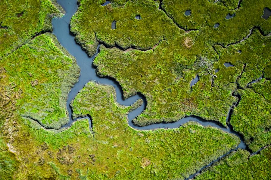 a river meander through wetlands as seen from above.