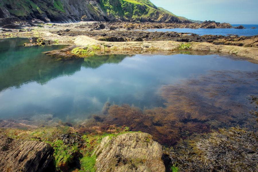 Rock pool in sunshine