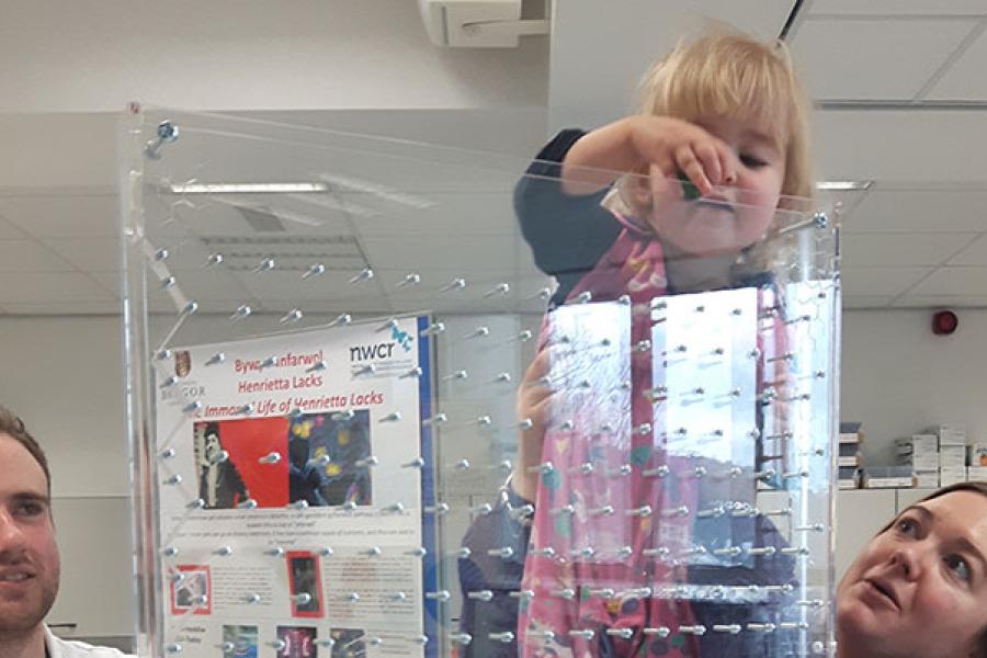 A toddler playing with a perspex puzzle at the Bangor Science Festival, two adults look on