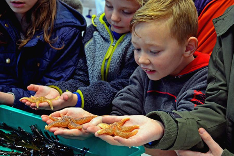 Children holding starfish at the Bangor Science Festival