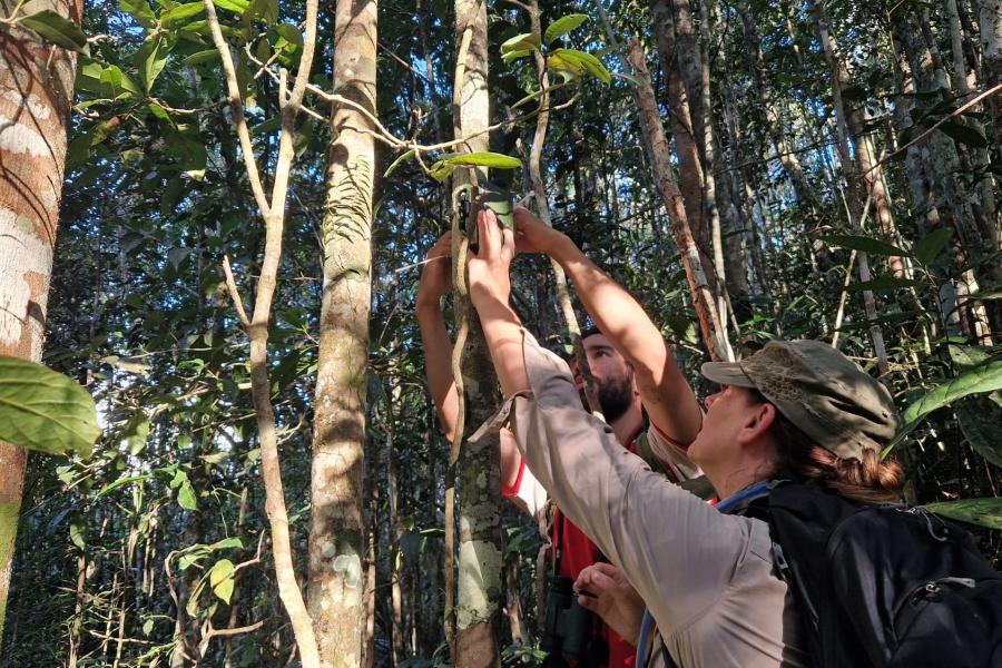 a group of SNS students on a field course in Madagascar