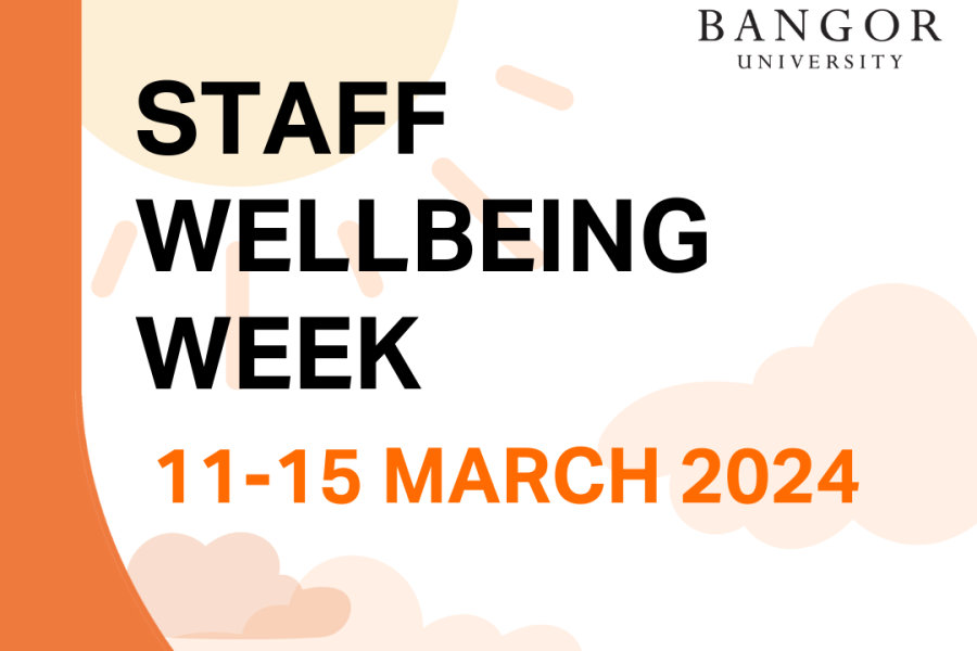 The logo for the staff wellbeing week in oranges and white with the title Staff Wellbeing Week 11-15 March 2024