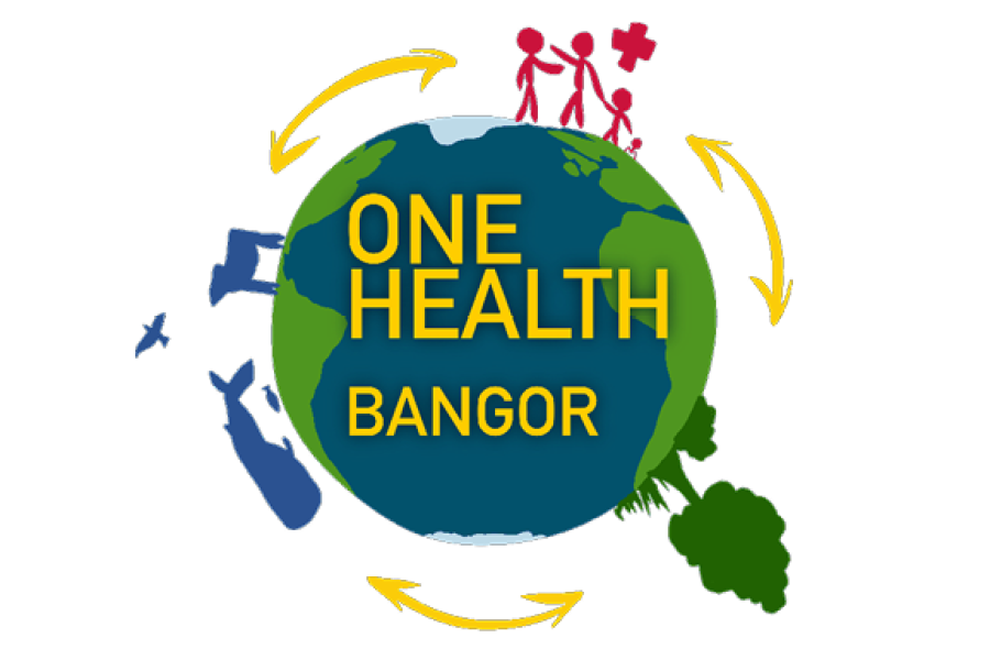 One Health logo