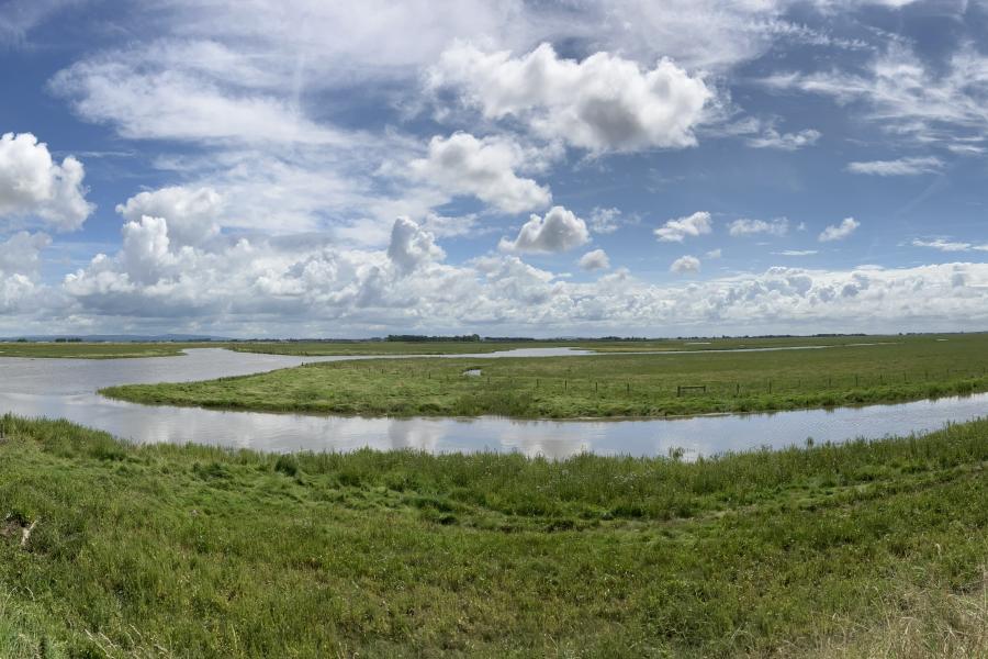  a panoramic view of an estuary running through a saltmarsh