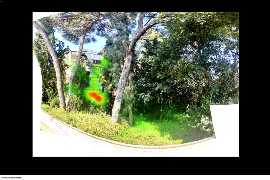 a heat map showing where gaze falls on some trees
