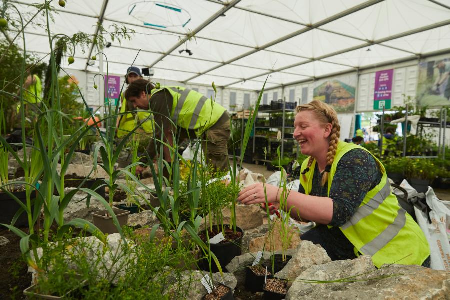 Plannu yn RHS Chelsea