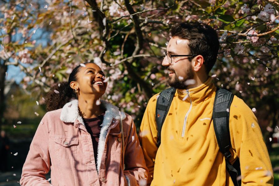 Two students walking, talking and laughing with cherry blossom tree in the background and petals falling from above