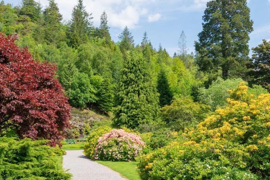 Treborth Botanic Garden 