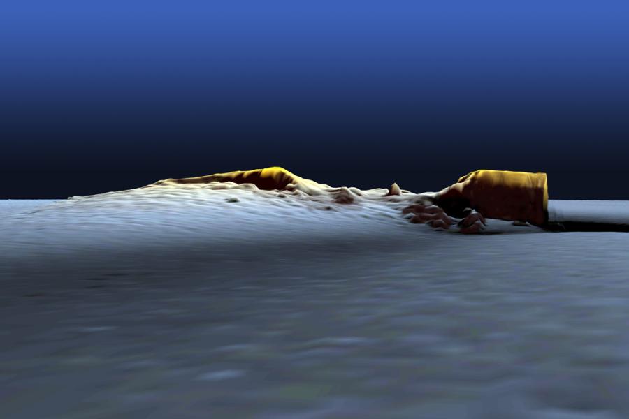 Data Sonar Aml-baladr yn Delweddu Safle’r Llongddrylliad