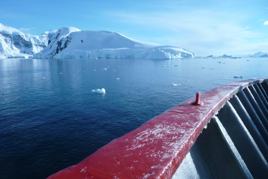 Photo taken in Antarctica in 2017 by Professor Katrien Van Landeghem 