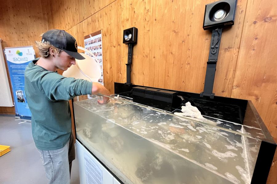 SOS Community aquarium