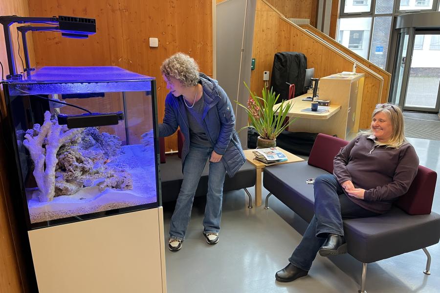 SOS Community aquarium
