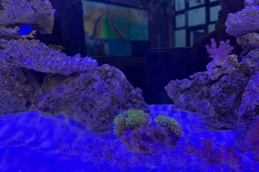 SOS Community aquarium