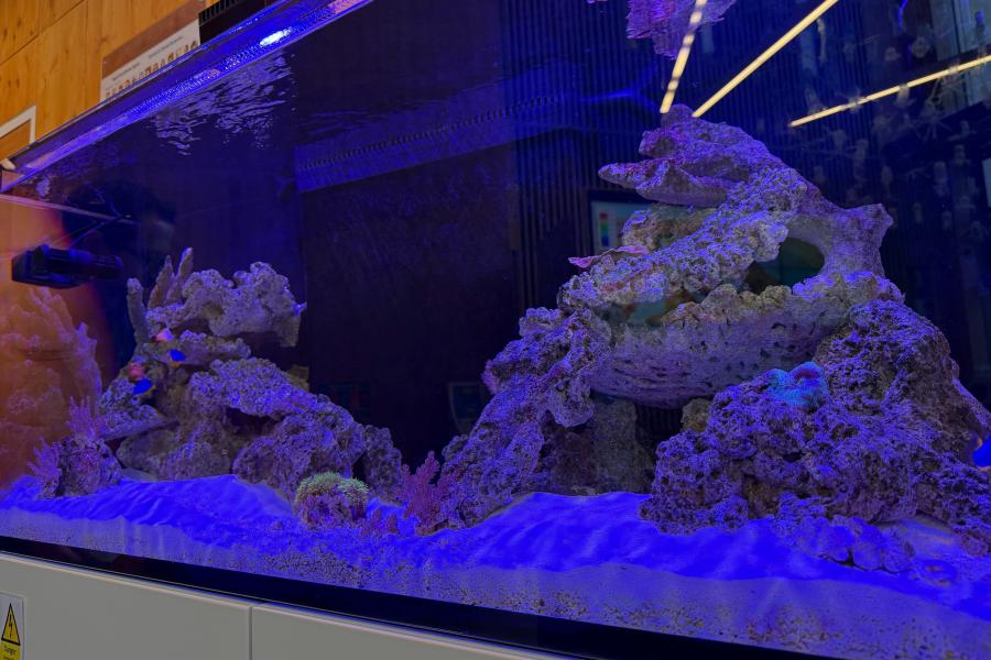 SOS Community aquarium