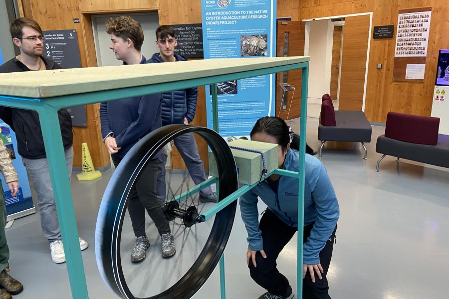 students trying out the wave machine