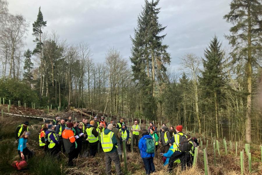 A group of forestry students wearing high-vis coats in a forest