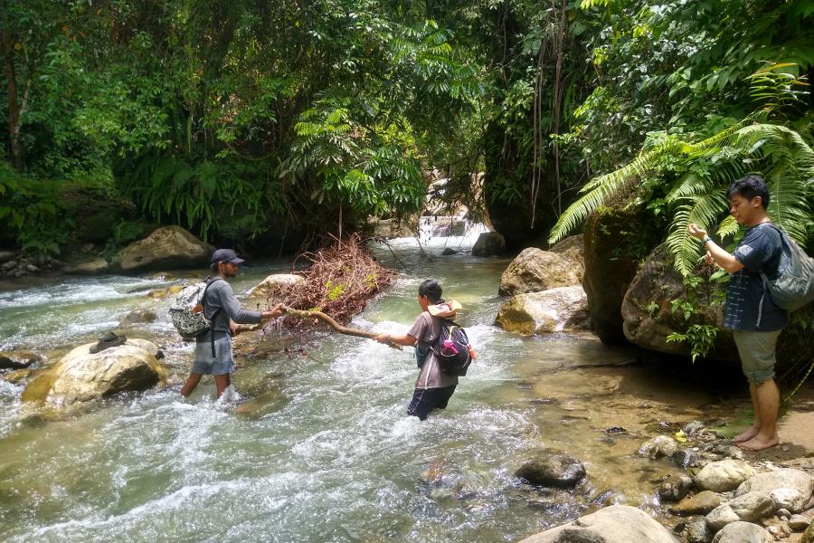 Men helping each other cross a fast flowing stream in the jungle. 