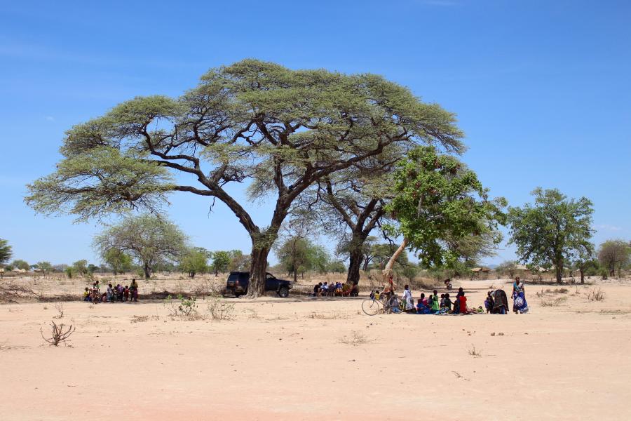 Photo of a large tree on open sandy flat ground, you can just about make out people sat on the floor in the shade it casts.   