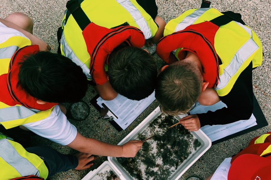 Children down at the marina collecting biodiversity data