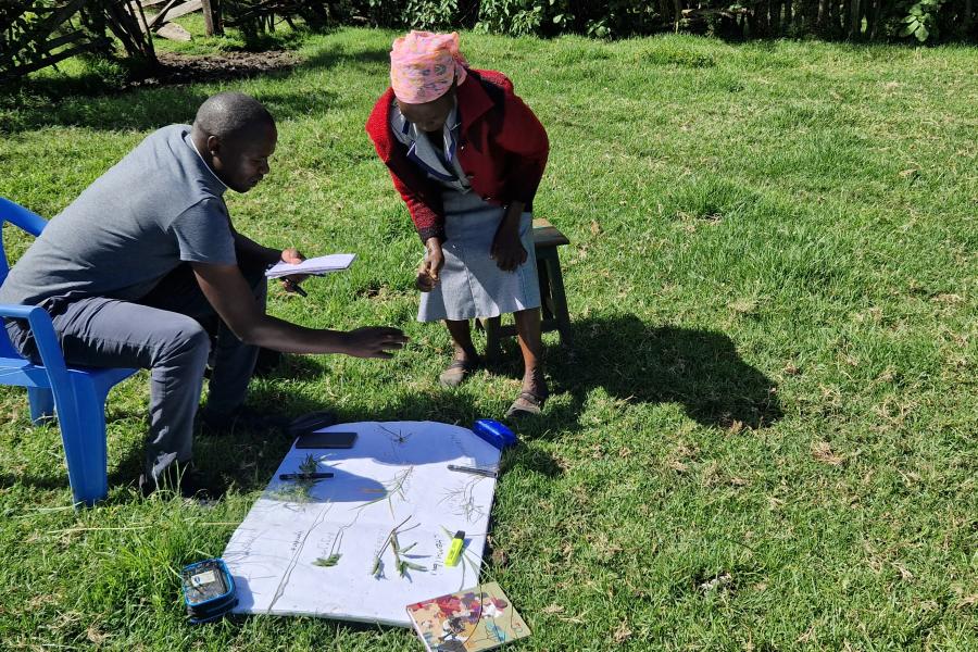 Daniel conducting a pasture plant identification with the help of a farmer for Cultural Domain Analysis