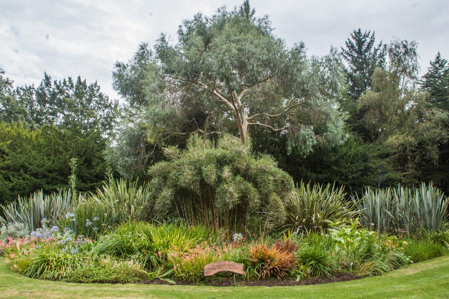 A large border at Treborth Botanic Garden filled with plants native to South Africa